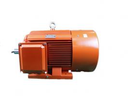 ?????????????????????????????????????????????????????????????? YX2 6kV