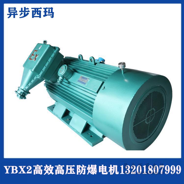 1641177527825697.jpg YBX2.jpg