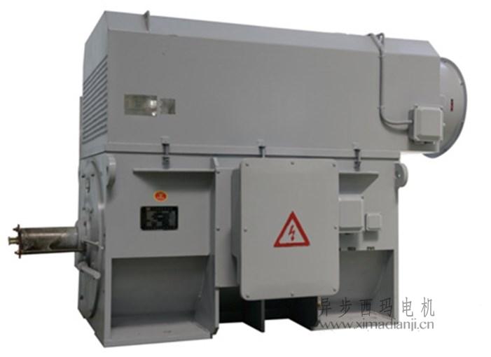 西瑪高壓變頻電機(jī)YJTFKK5603-6 1120KW 10KV 25~50HZ IP55 帶電加熱器 西瑪高壓變頻電機(jī)YJTFKK5603-6 1120KW 10KV 25~50HZ IP55 帶電加熱器